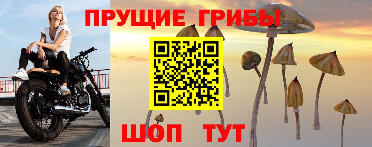 Галлюциногенные грибы Psilocybe  Вход с VPN  Улан-Удэ 